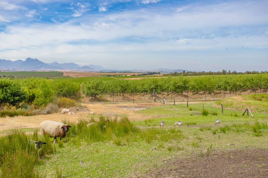 4 Bedroom Property for Sale in Paarl Rural Western Cape